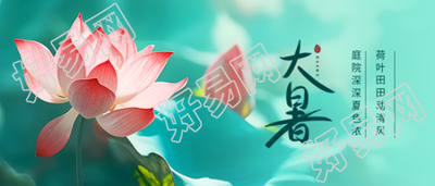 大暑时节小清新风格微信公众号首图