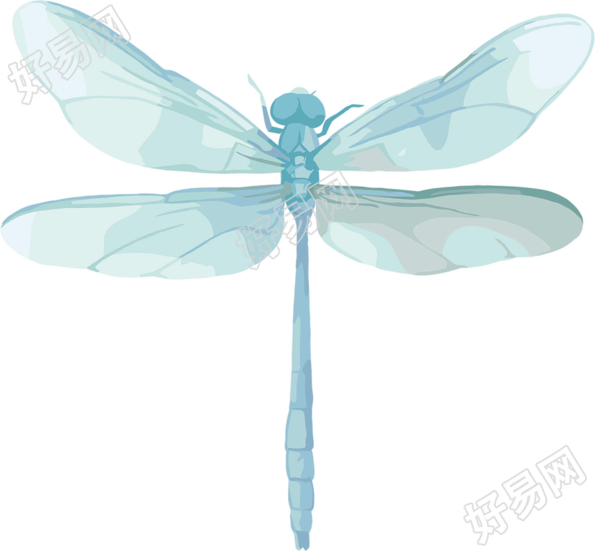 蓝色蜻蜓插图