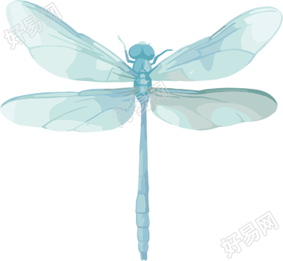 蓝色蜻蜓插图