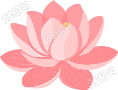 粉色莲花商用素材
