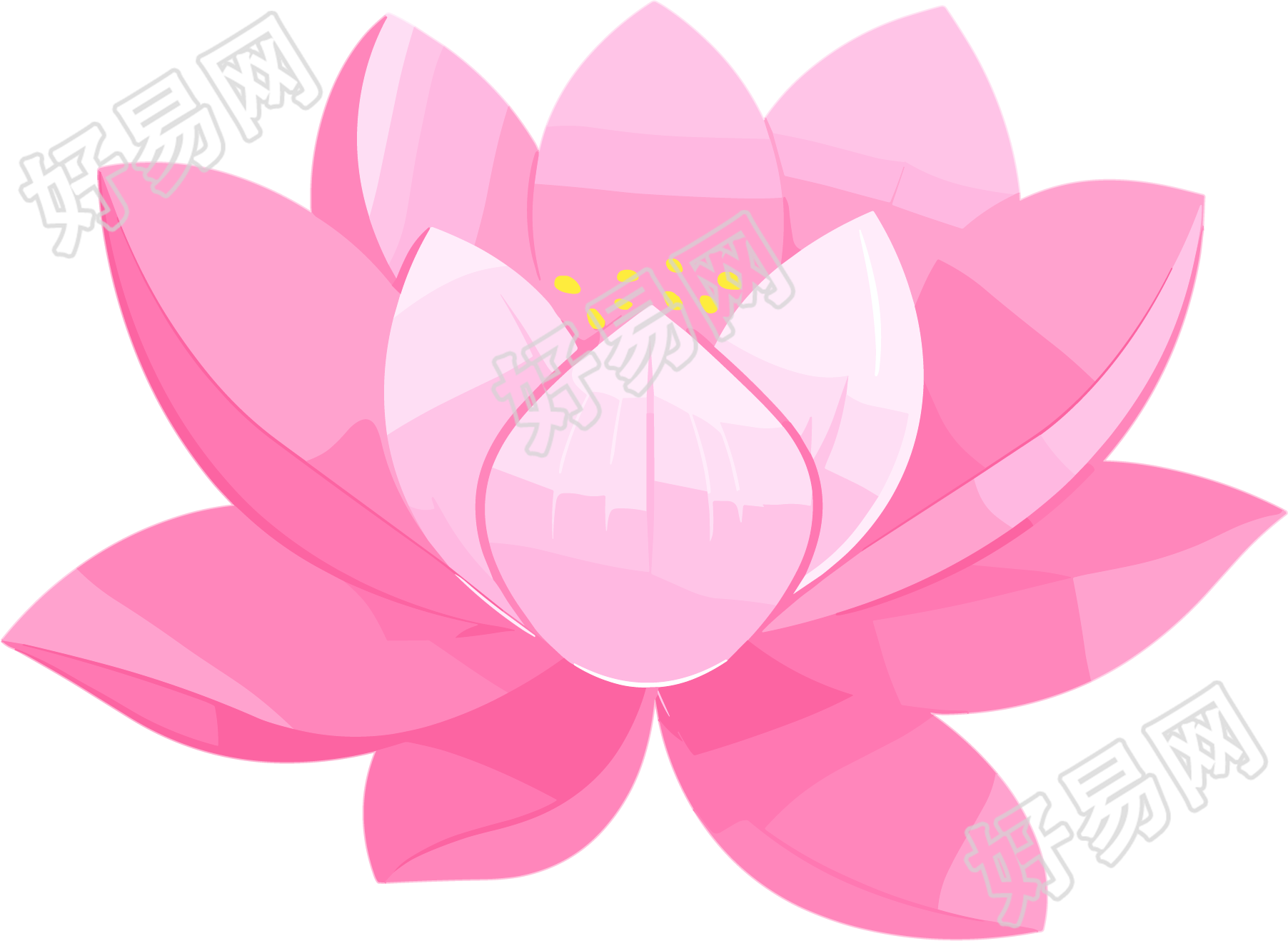 粉色莲花插画设计元素