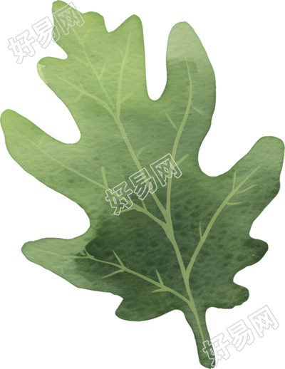 水彩植物设计素材