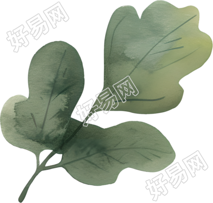水彩植物设计插画