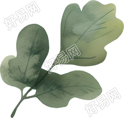 水彩植物设计插画