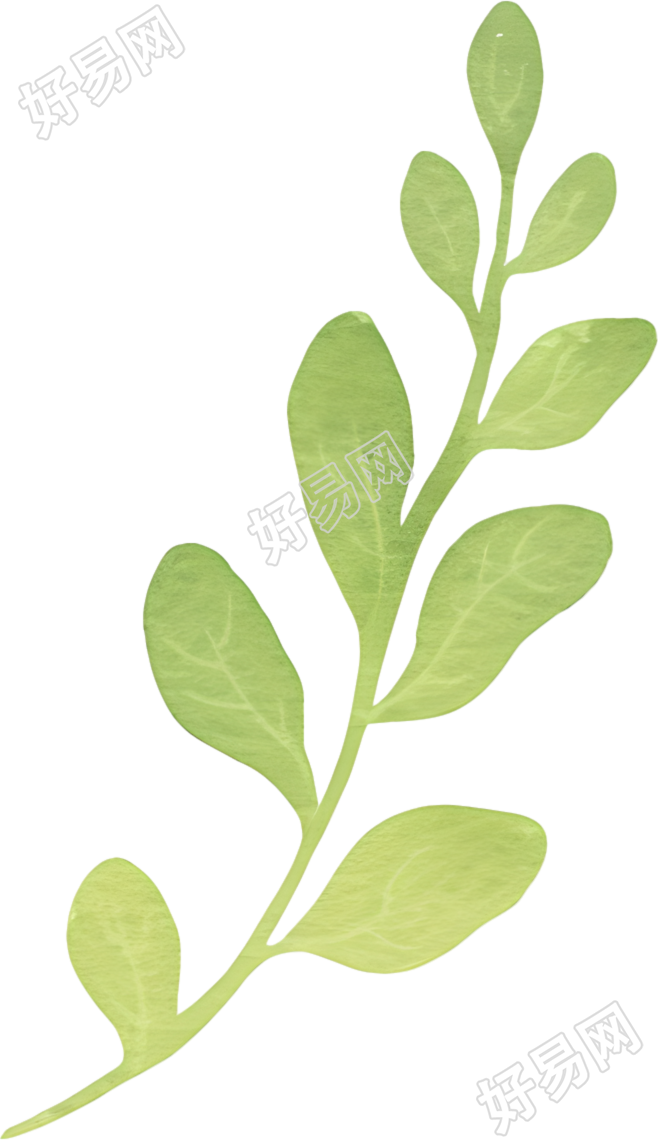 水彩植物树叶素材