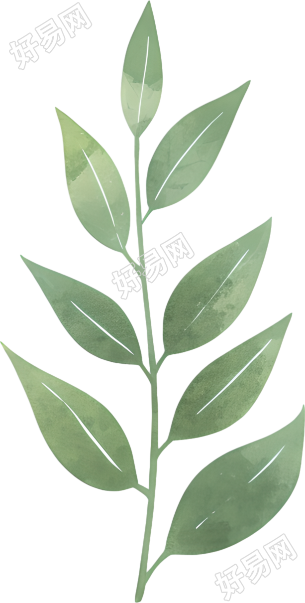 水彩植物树叶插画
