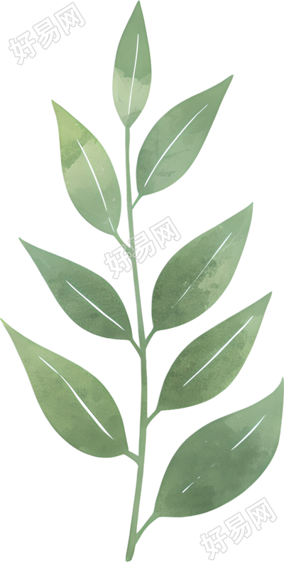水彩植物树叶插画