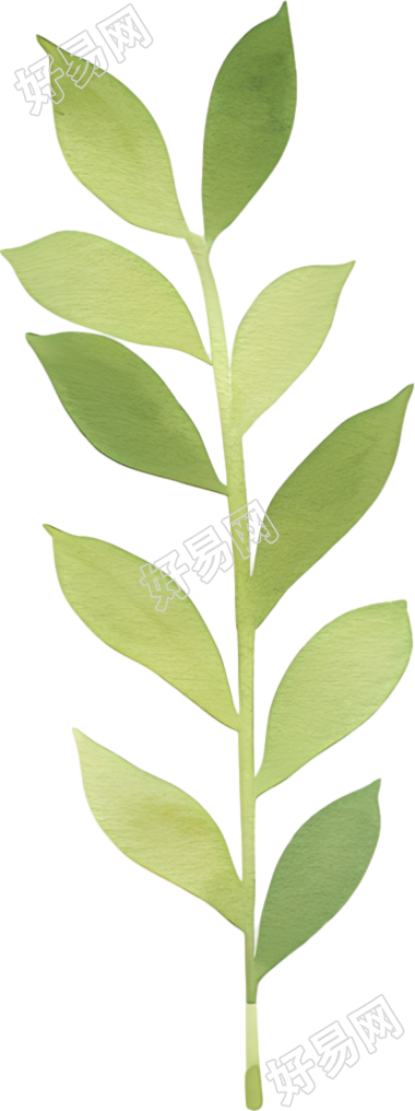 水彩植物装饰元素