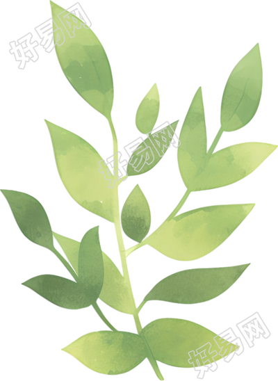 水彩植物商用装饰素材