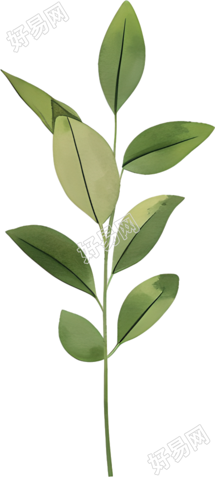 水彩植物简约装饰素材