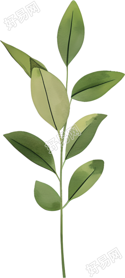水彩植物简约装饰素材