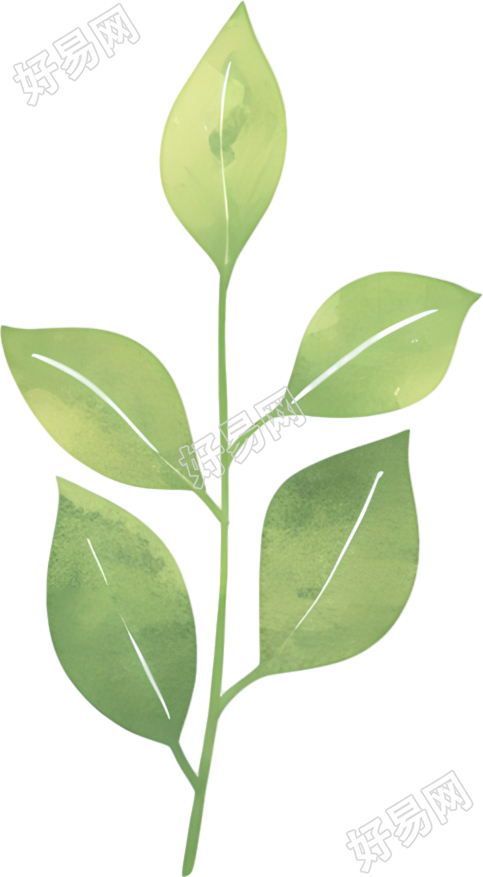 水彩植物叶片元素