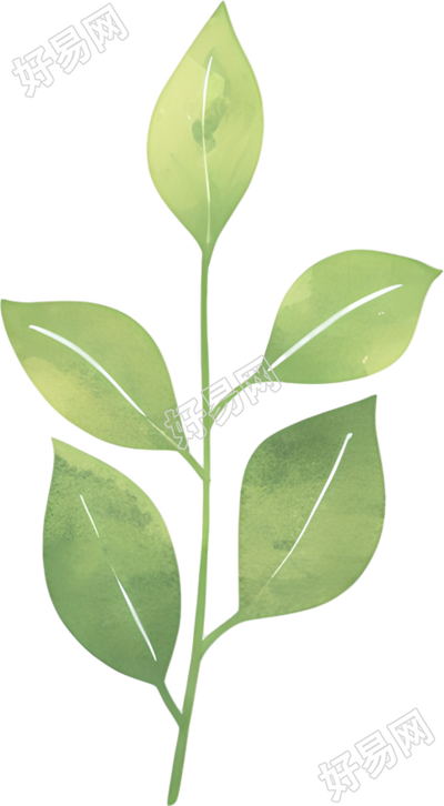水彩植物叶片元素