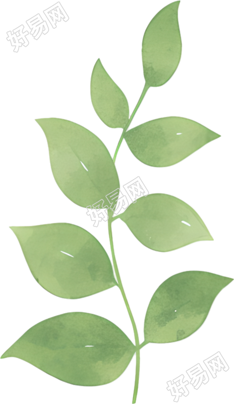 水彩植物叶片素材