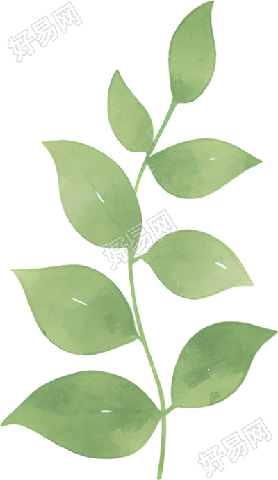 水彩植物叶片素材