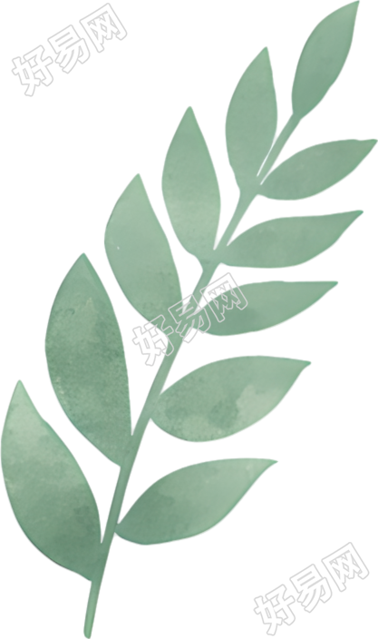 水彩植物装饰插画元素