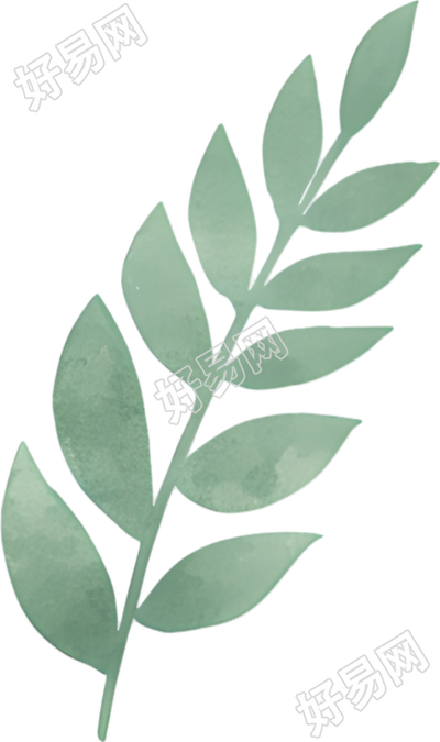 水彩植物装饰插画元素