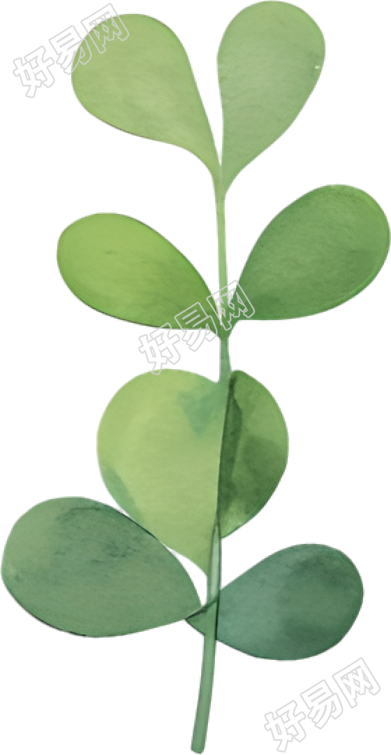 水彩植物商业设计元素