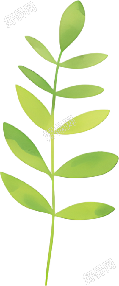 水彩植物简约风格素材