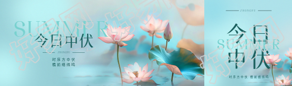 今日中伏唯美荷花公众号封面图