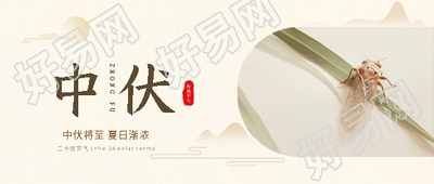 今日中伏夏蝉实景微信公众号首图