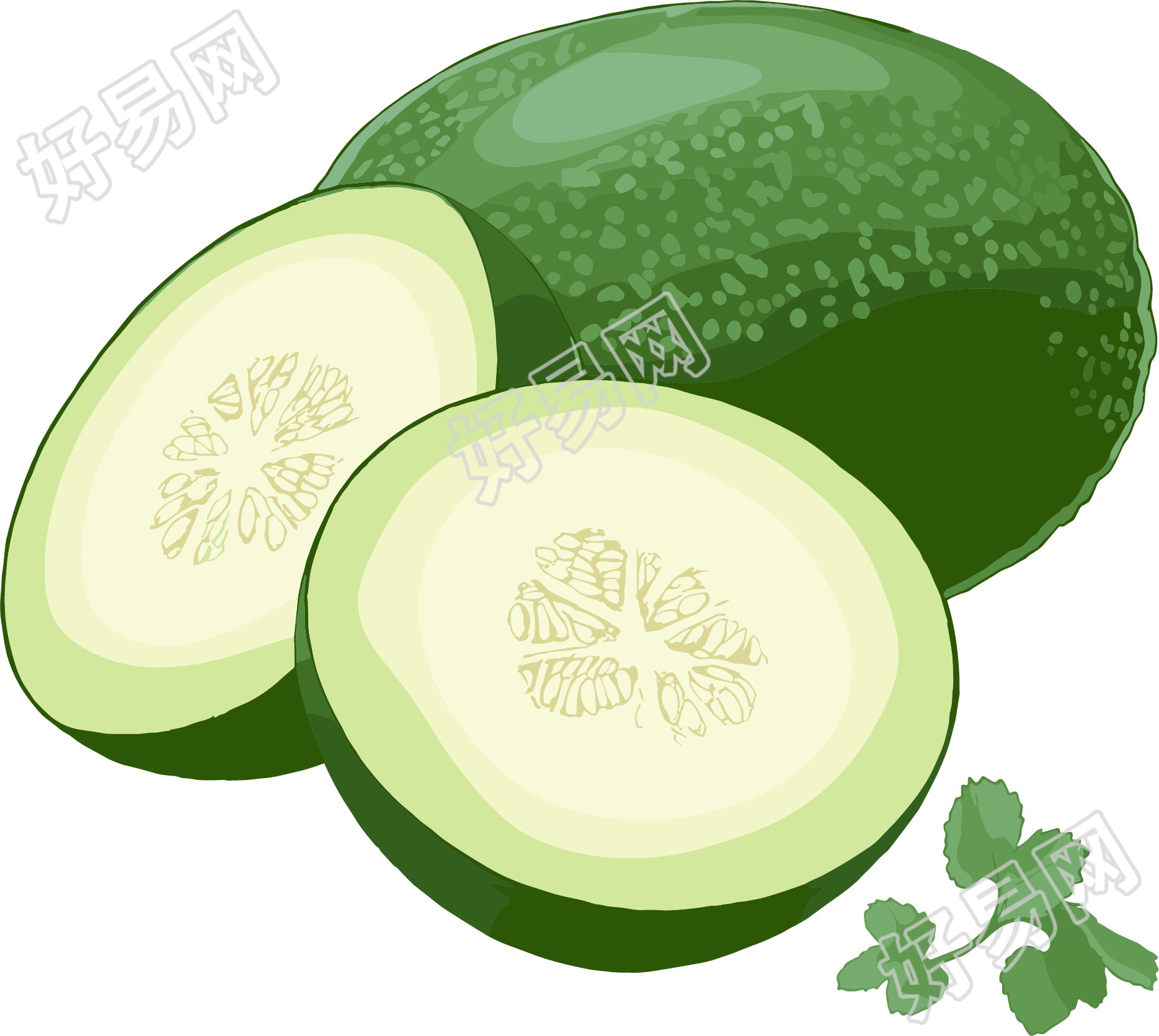 冬瓜PNG高清图形素材