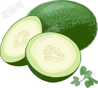 冬瓜PNG高清图形素材