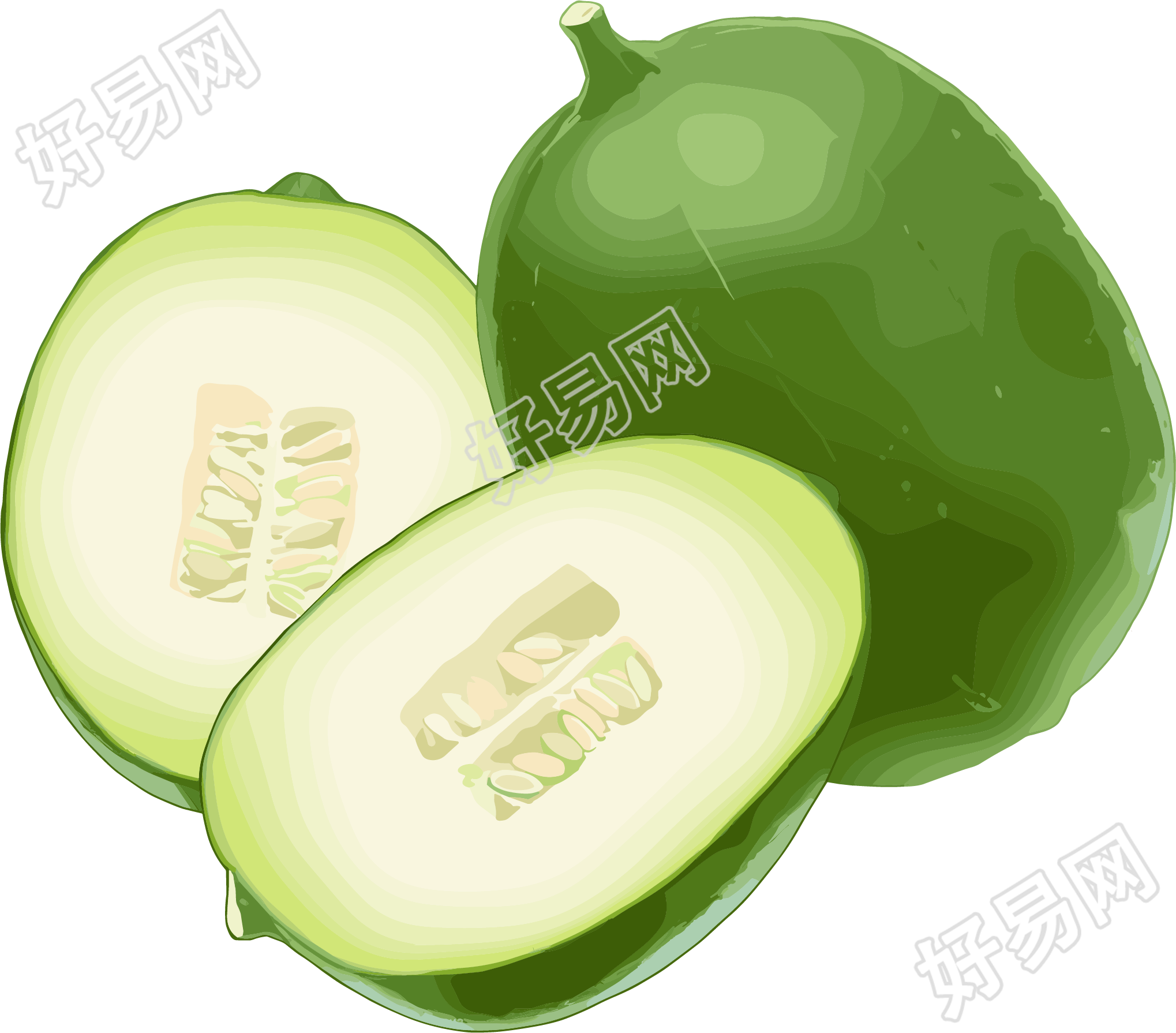 冬瓜商业设计元素