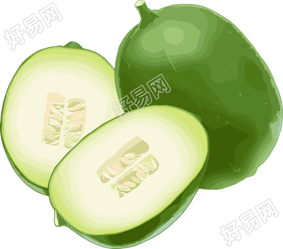 冬瓜商业设计元素