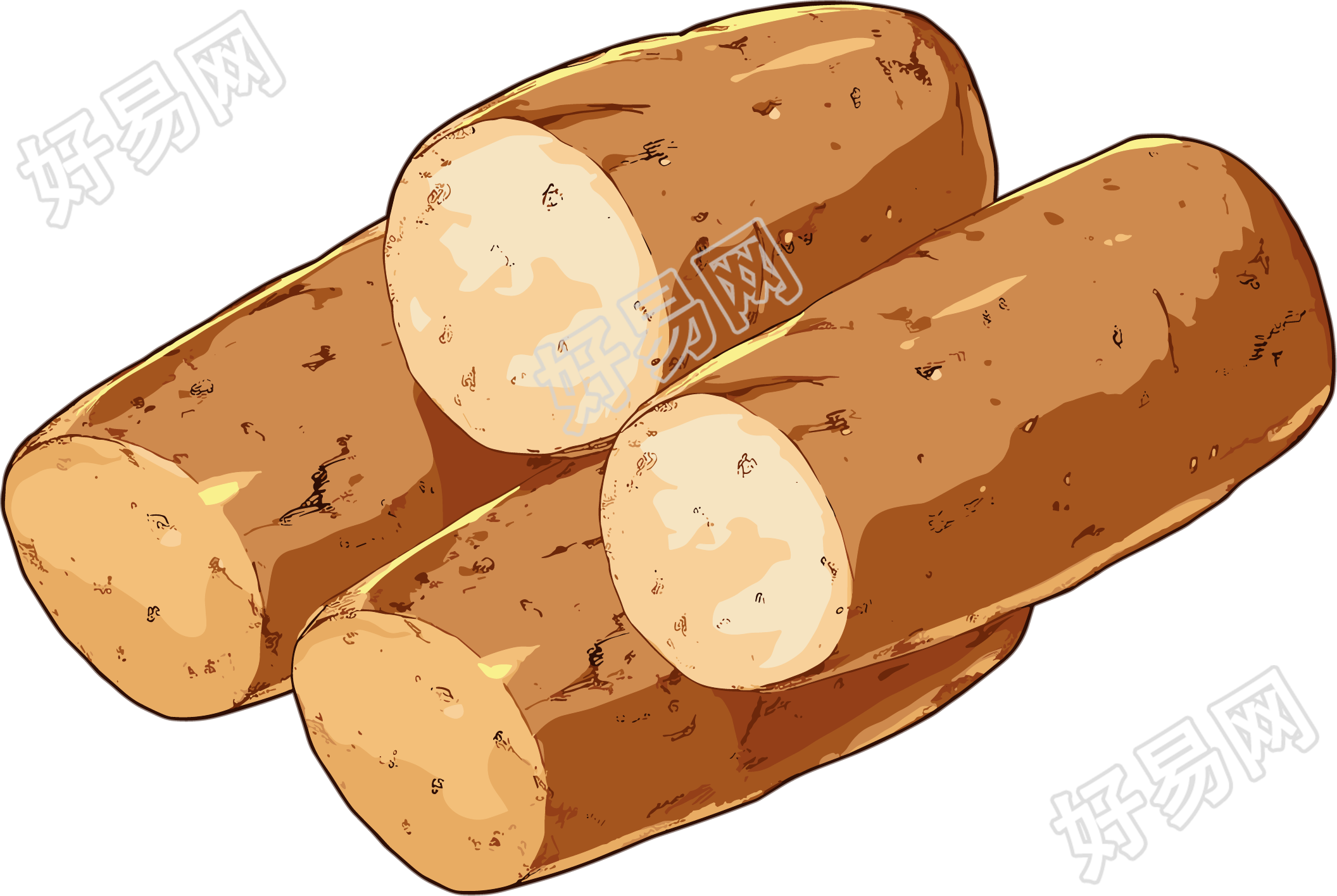 山药简洁插图