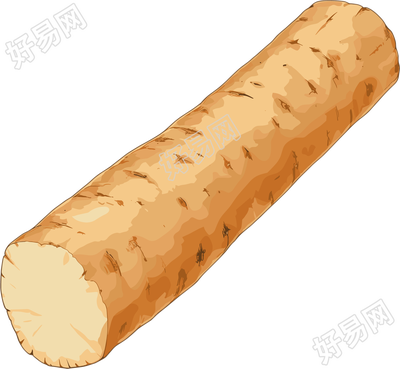 山药透明背景素材
