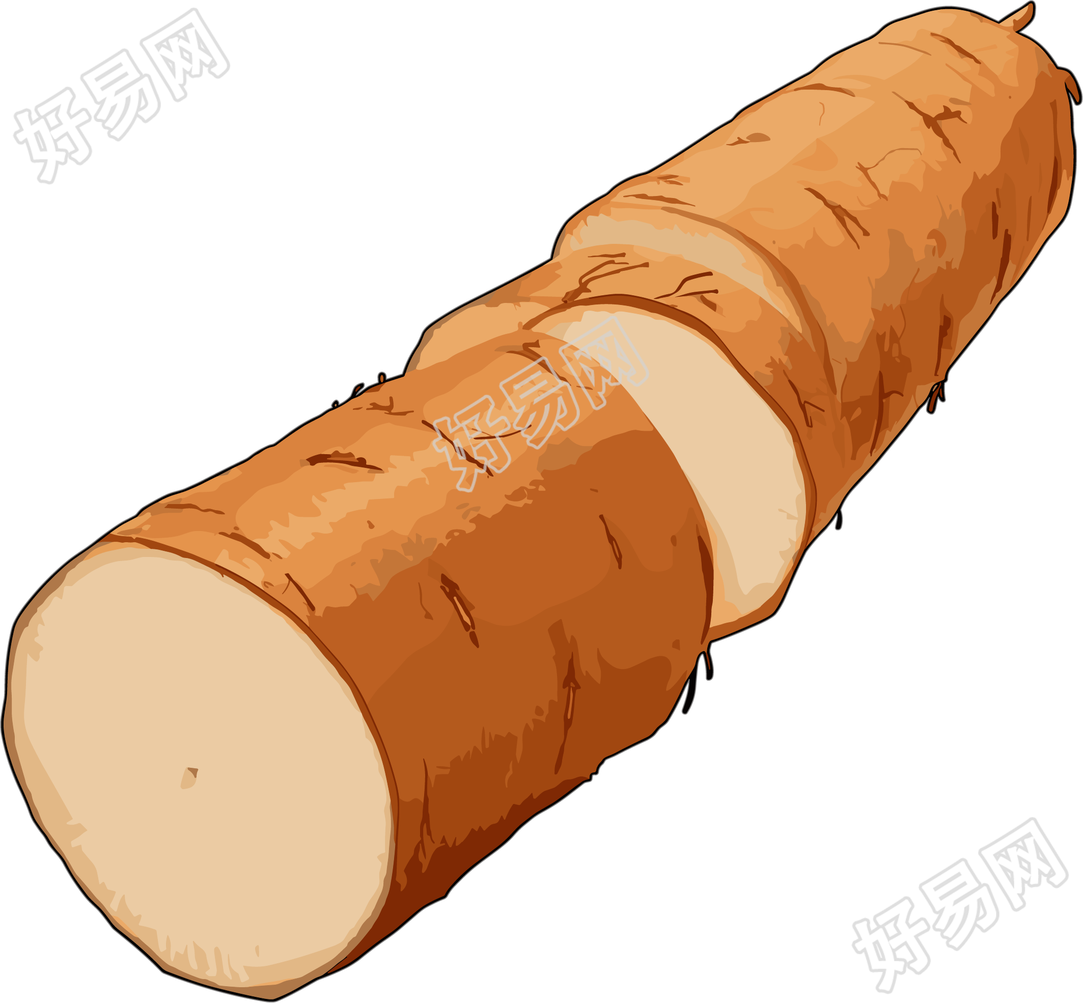 山药高清图形素材