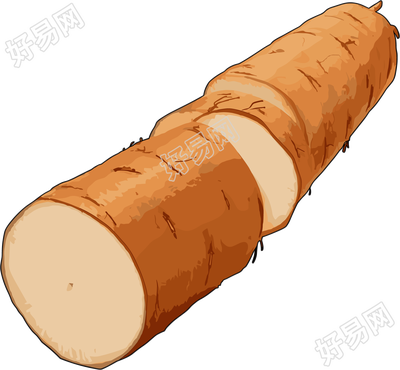 山药高清图形素材