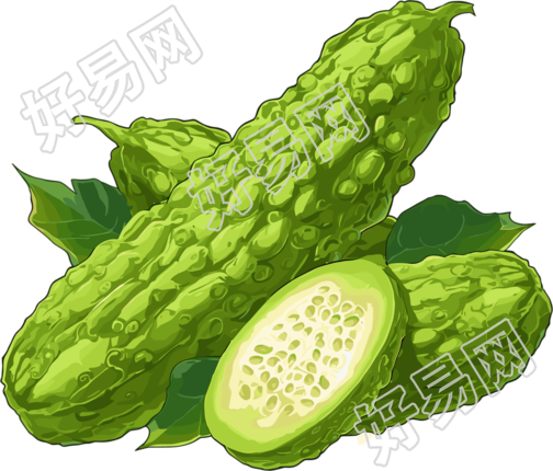 苦瓜商业设计元素