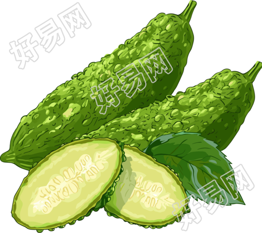 苦瓜蔬菜插图