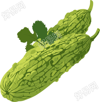 苦瓜高清素材