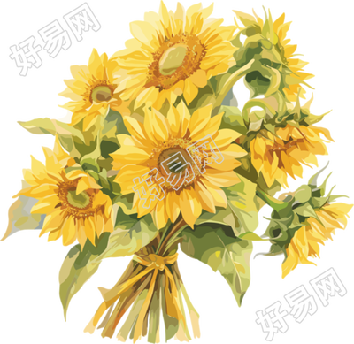 向日葵花束简约插画