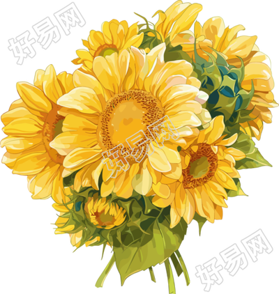 向日葵花束商用插画