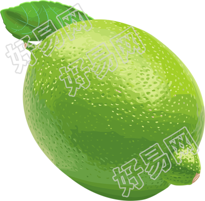 香水柠檬插图