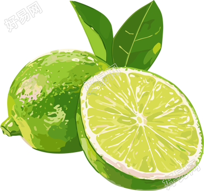 香水柠檬插画素材