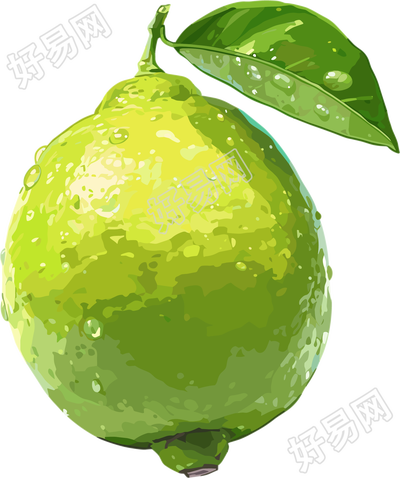 香水柠檬PNG插图