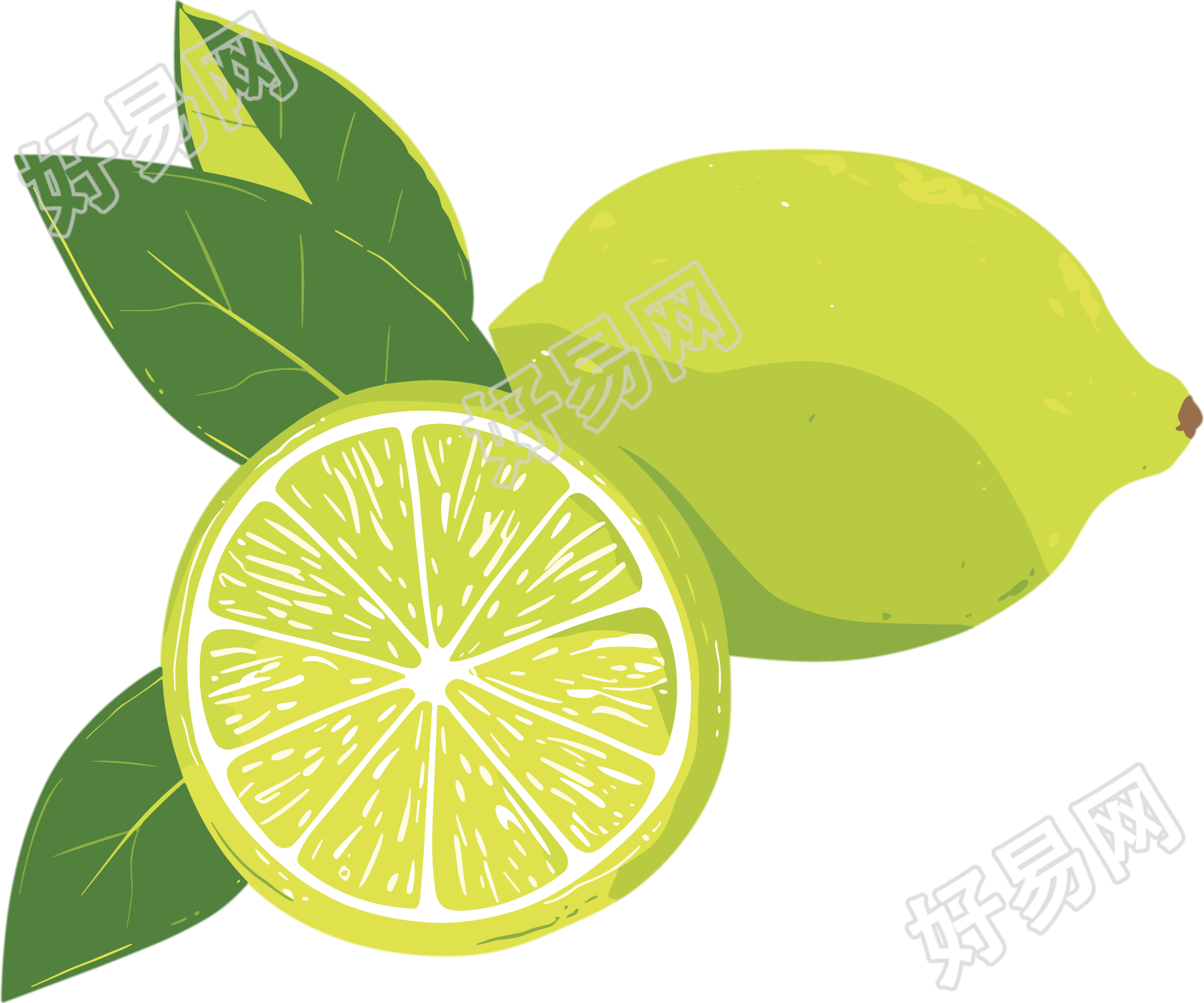 香水柠檬商业素材