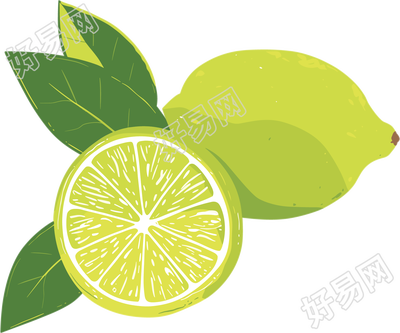 香水柠檬商业素材