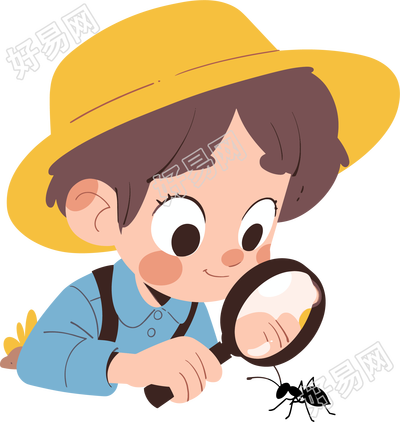 观察昆虫商业设计元素