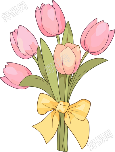 粉色郁金香花束插画