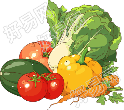 食品安全新鲜蔬菜插画