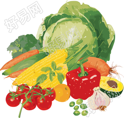 食品安全新鲜蔬菜矢量素材
