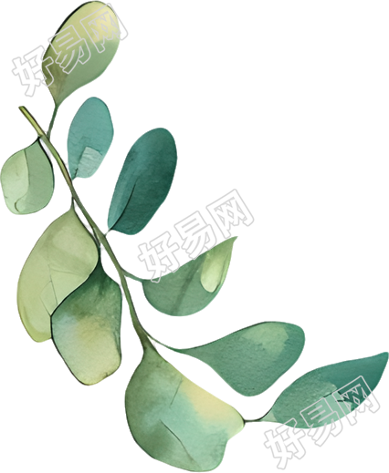 水彩叶子装饰元素