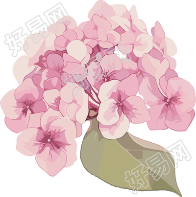 水彩绣球花插图