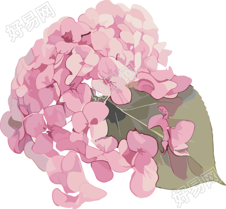水彩绣球花装饰元素